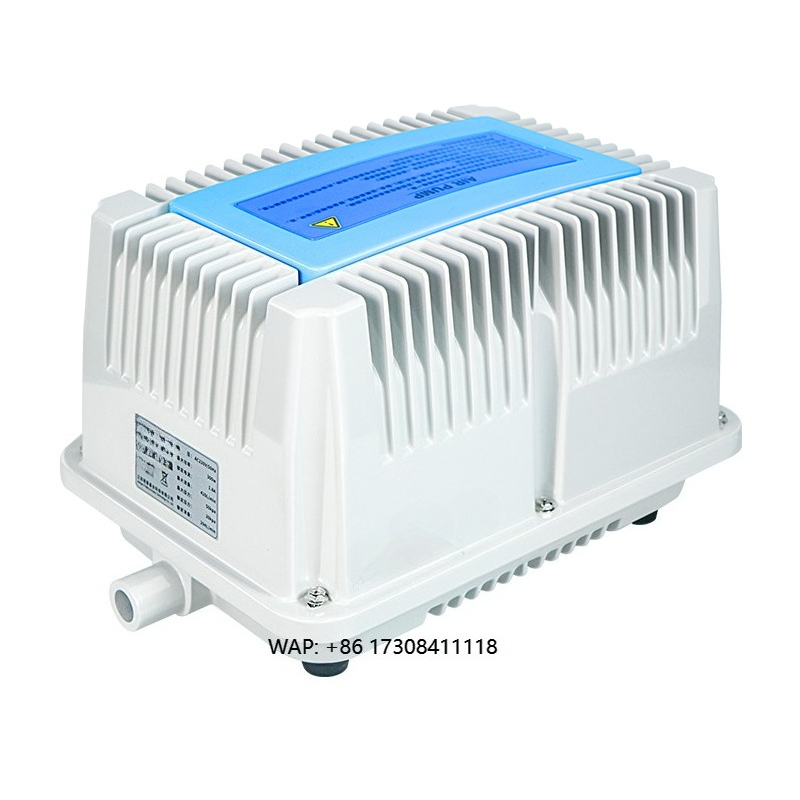 115v Car air Compressor/ 220v  - Car Vacuum review and price